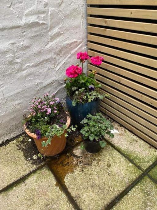 Ferienwohnung Beautiful Little Brighton Townhouse Exterior foto